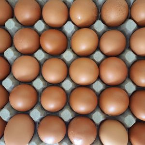 Eggs