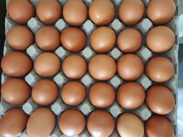 Eggs