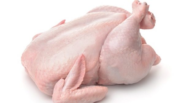 Single Packaged Frying Chicken
